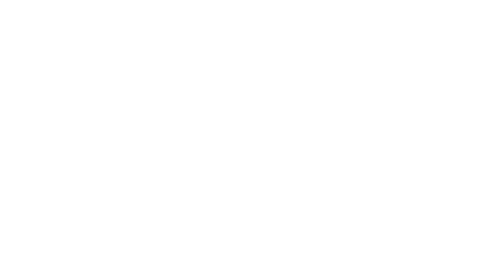 ZTE Axon M